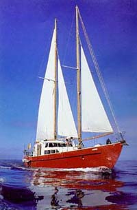 CRUISE GALAPAGOS ISLAND