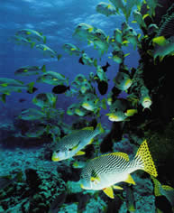 Galapagos travel information