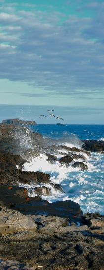 Galapagos travel information