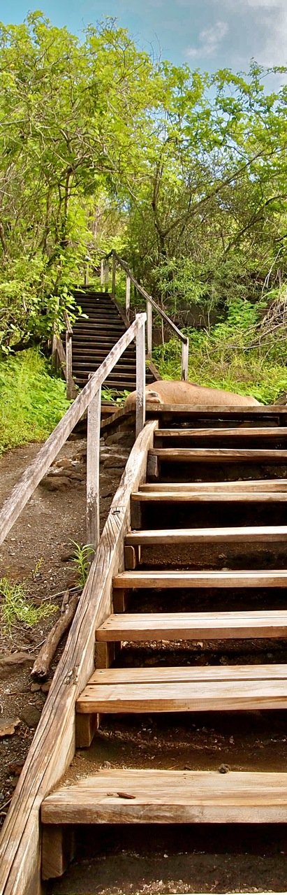 Galapagos travel information