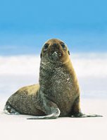 Galapagos travel information