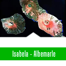 Isabela hotels accommodation -  Galapagos islands hotels