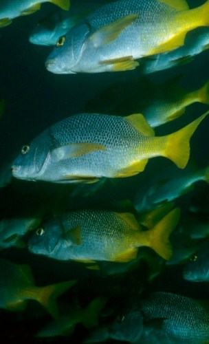 Galapagos travel information