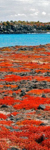Galapagos travel information