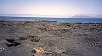 Santiago galapagos islands