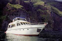 Mistral - Diving cruise Galapagos islands