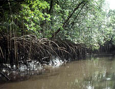 Galapagos island Santa Cruz Indefatigable